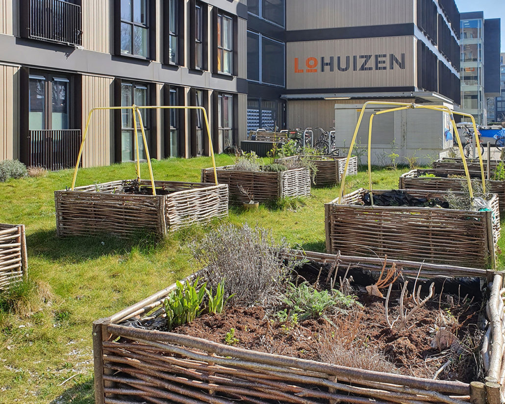Moestuinbakken bij LoHuizen