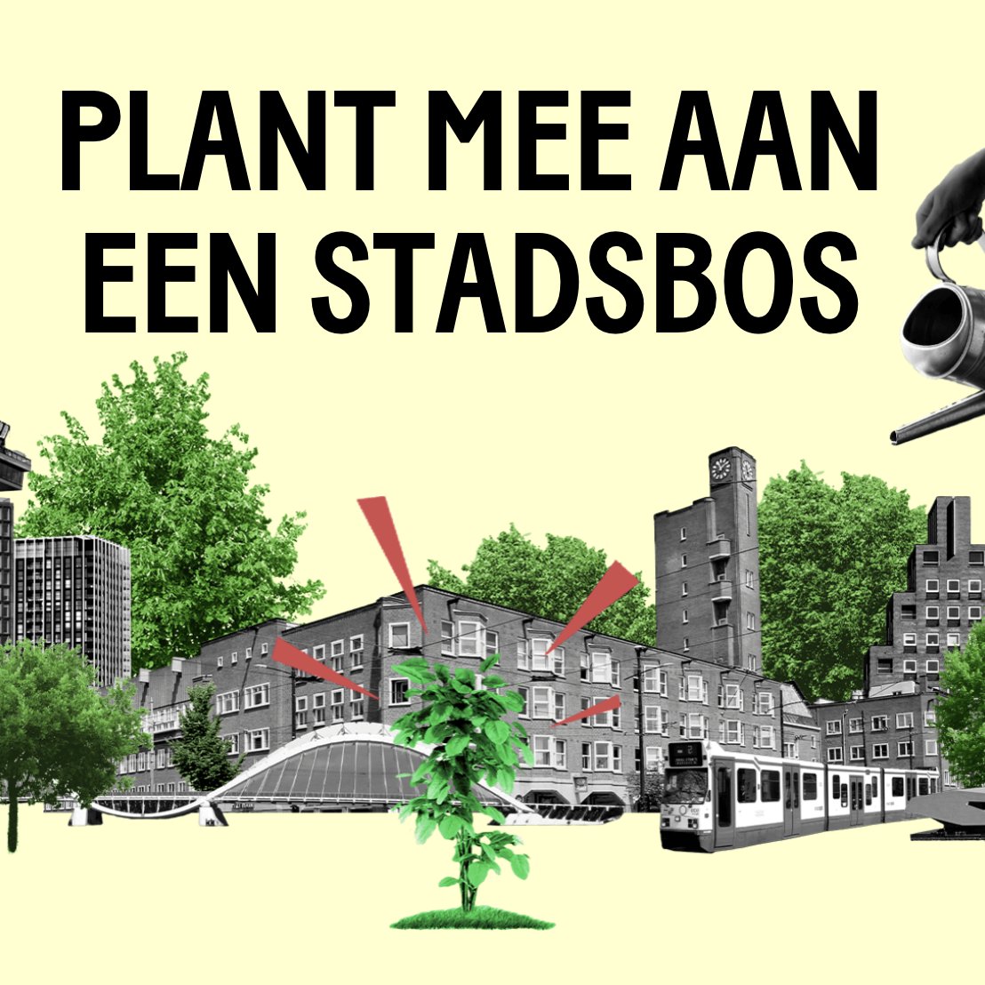 Bomen voor Amsterdam