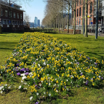 landelijke schoonmaakdag oost